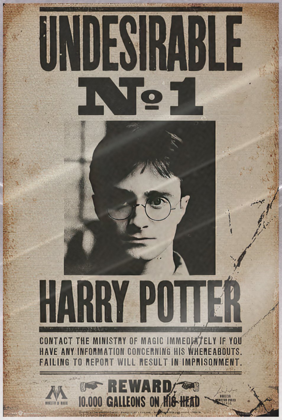 Harry Potter – Movie Poster (Undesirable No. 1 – Mugshot) (24 x 36″) (LAMINATED)