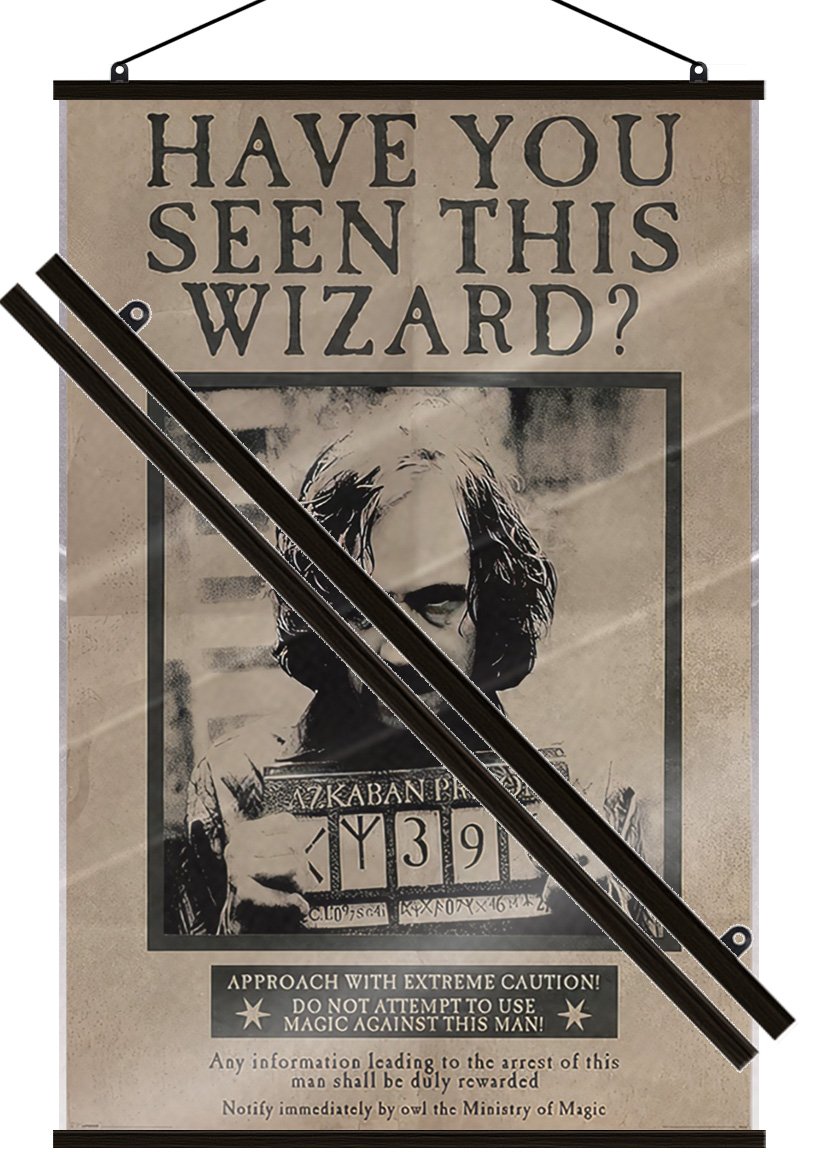 Harry Potter and The Prisoner of Azkaban Movie Poster (Sirius Black) (LAMINATED)