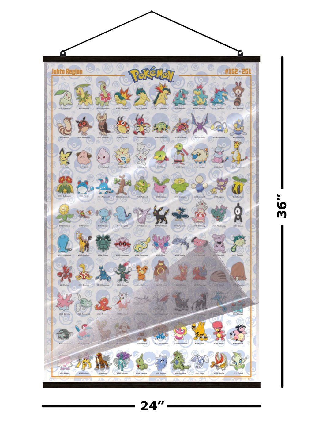 Pokemon - TV Show Gaming Poster (Johto Region) (Size: 24