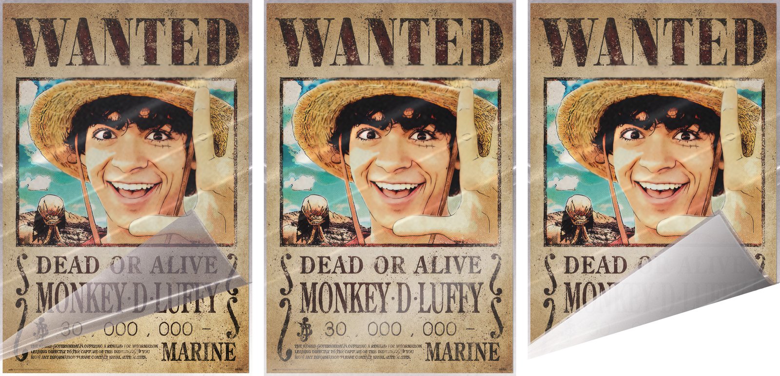 One Piece - TV Show Poster (Wanted: Monkey D. Luffy) (Size 24 x 36
